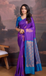 Silk Saree with Sequins Work